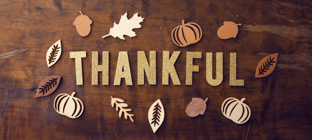 To you, our Sound Stewardship family, Happy Thanksgiving!